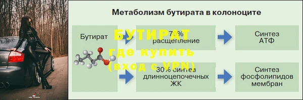 2c-b Бородино